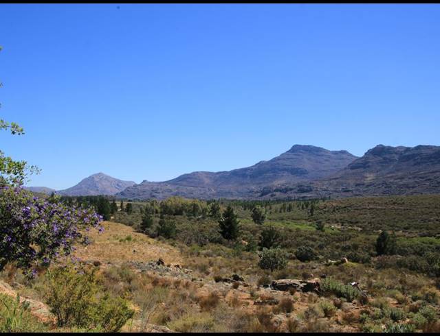 86HA FARM FOR SALE IN CERES RURAL